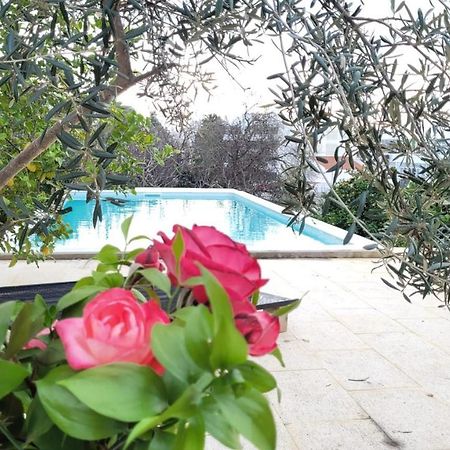 Вилла La Casa D'Olhao Quelfes Экстерьер фото